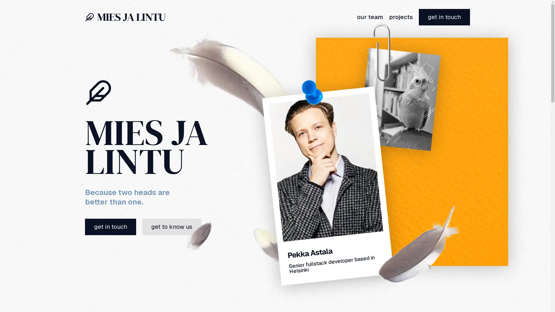 Mies ja Lintu Portfolio Website